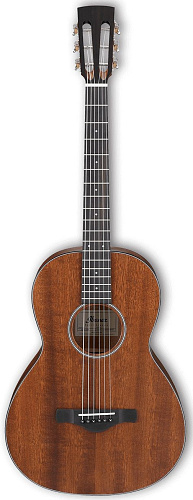 Ibanez ArtWood AVN9-OPN Акустическая гитара