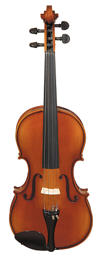 Hora A100 16,5" Rhapsody Альт студенческий