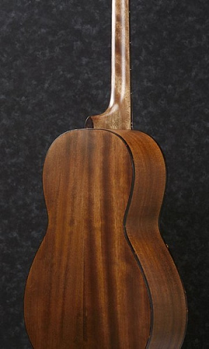 Ibanez ArtWood AVN9-OPN Акустическая гитара