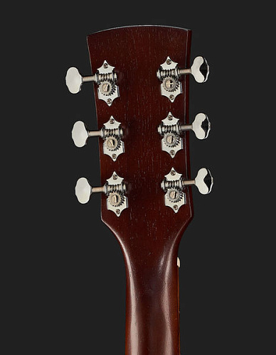 IBANEZ PN19-ONB Акустическая гитара (Parlor)