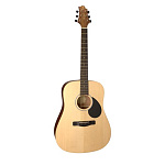 Фото:GregBennett GD50/OPN   акустическая гитара, dreadnought