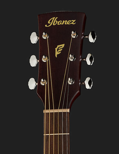 IBANEZ PN19-ONB Акустическая гитара (Parlor)