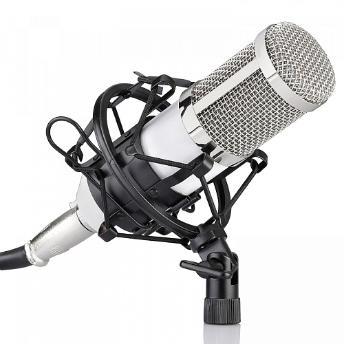 FZONE BM-800 WH Микрофон профессиональный студийный с большой мембраной