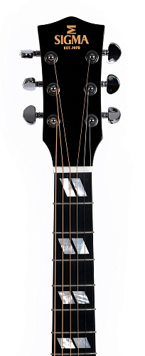 Sigma DM-SG5, Гитара акустическая, с кейсом