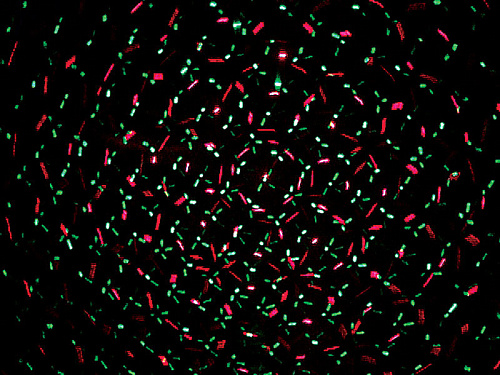 XLine ALPHA Проекционный лазер