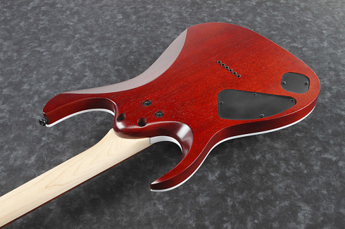 Ibanez RGA42FM-TGF Электрогитара