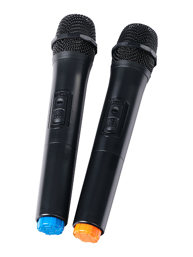 Leem PR-12HR Портативная акустическая система, 120 Вт