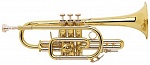 Фото:Vincent Bach 181ML Корнет "Bb"
