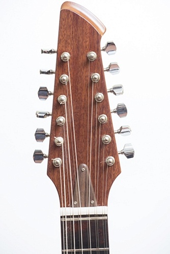 Neva Guitars RHNG12A017 Акустическая гитара, 12-струнная