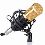 Фото:FZONE BM-800 BK Микрофон профессиональный студийный с большой мембраной