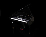 Фото:GRAND500(GB) Цифровой рояль, Medeli