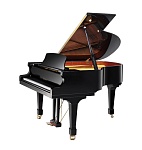 Фото:Zimmermann Standard Z 175 Рояль черный, полированный