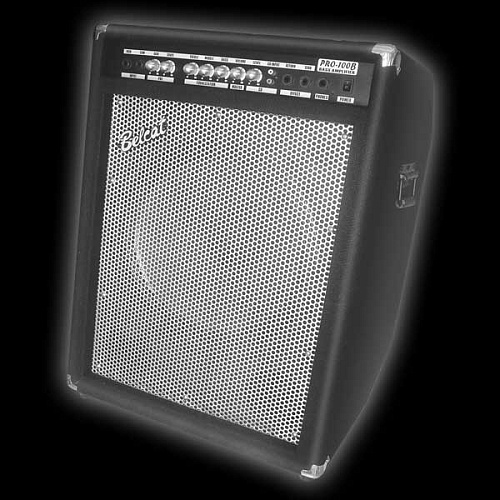 Belcat Pro-100B Басовый комбоусилитель, 100 Вт