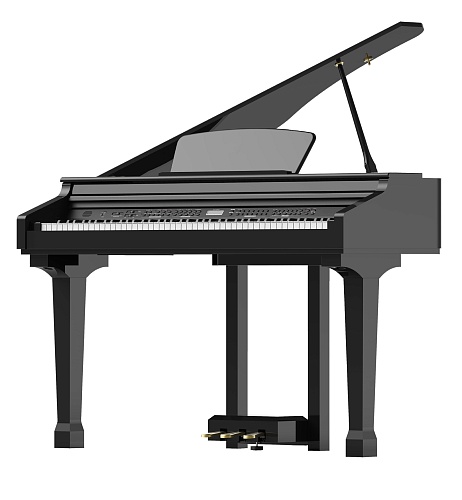 Ringway GDP1120 Black Цифровой кабинетный рояль