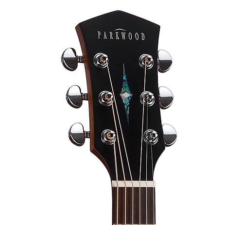 Parkwood S22-GT Акустическая гитара, с чехлом