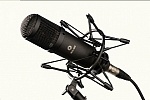 Фото:Октава МК-319-Ч-ФДМ1-02 Универсальный конденсаторный микрофон, черный, в ФДМ1-02