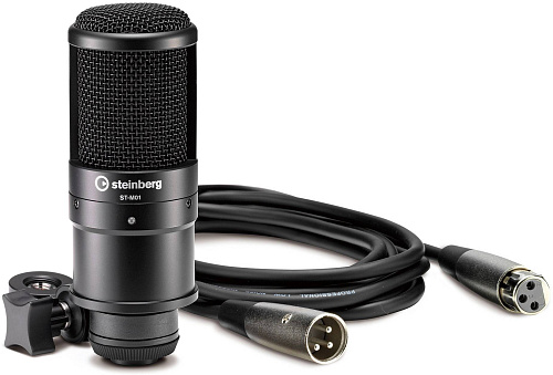 STEINBERG UR22MKII Recording PACK Комплект для звукозаписи