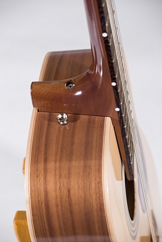 Neva Guitars RHNG12A017 Акустическая гитара, 12-струнная