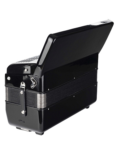 Aurus JH2008D-BLACK Аккордеон 41/120/7+2, черный, с футляром