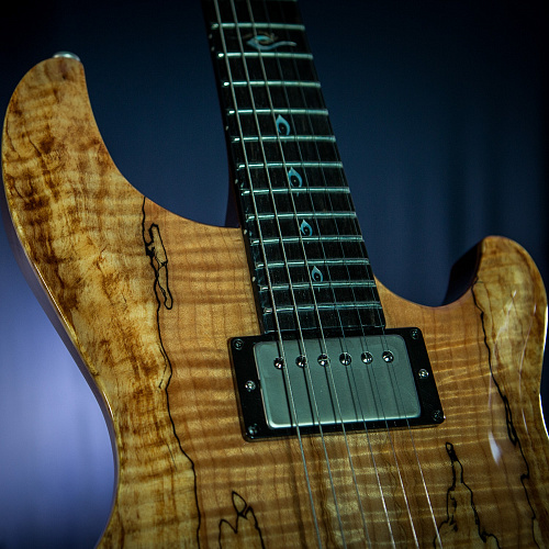 Dean USA Hardtail SPM Exotic spalted Электрогитара