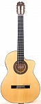 :Prudencio Cutaway Model 5-CW (57)     