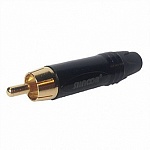 Фото:SHNOOR SRCM-G-B Разъем на кабель RCA male