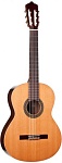 :Perez 610 Cedar  