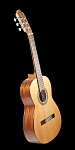 :PRUDENCIO Saez 053 (Cedar Top)  