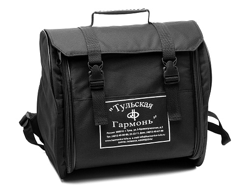 Тульская гармонь BN-40-BL Баян ученический двухголосный Этюд-205М2, 55х100-II, синий