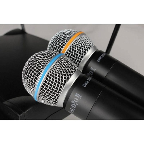 PROAUDIO DWS-204HT Радиосистема