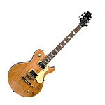 Фото:GregBennett AV6LTD/N   электрогитара типа Les Paul