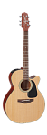 :TAKAMINE PRO SERIES 1 P1NC :  , 