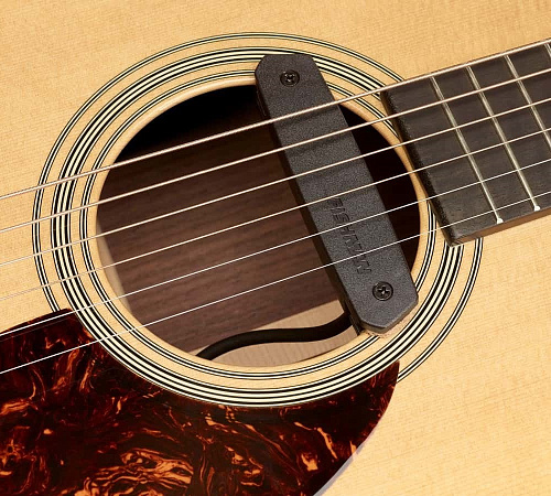 Fishman PRO-NEO-D01 Neo-D Гитарный магнитный звукосниматель, черный