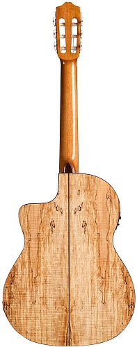 CORDOBA C5-CET SPALTED MAPLE LIMITED  