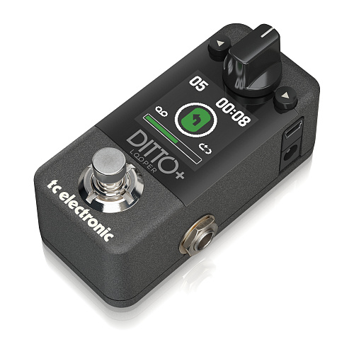 TC Electronic DITTO+ LOOPER Гитарный лупер с цветным дисплеем и внутренней памятью