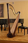 Фото:19G004-C19 Арфа педальная, широкая дека, 46 струн, эбен, Срок изготовления 3 месяца, Resonance Harps