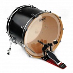 :Evans BD20GB4 EQ4 Clear   - 20"