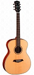 Фото:Parkwood S22-GT Акустическая гитара, с чехлом