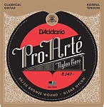 :D'Addario EJ47 PRO ARTE      Normal D`Addario