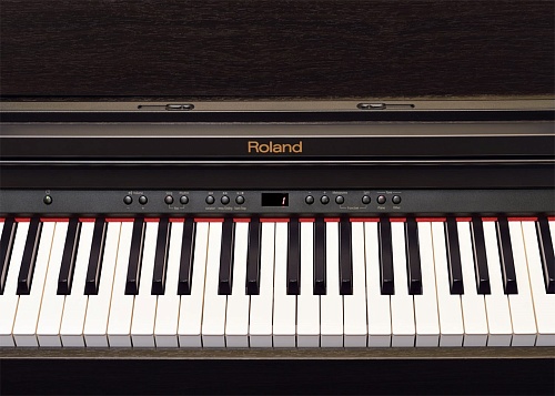 Roland RP501R-CR  