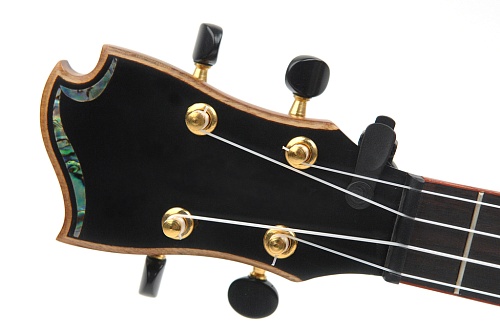 Planet Waves PW-CT-12 NS Mini Headstock   