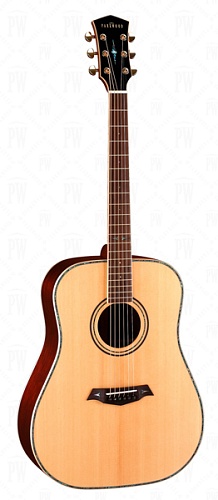 Parkwood P810 Акустическая гитара, дредноут, с футляром