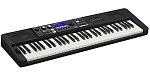 :Casio CT-S500  61 