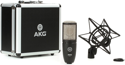 AKG P220   