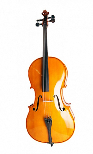 Strunal 4/17C-1/2 Salzburg Виолончель 1/2