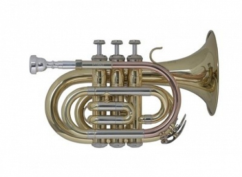 Vincent Bach PT-650 Труба мини "Bb"