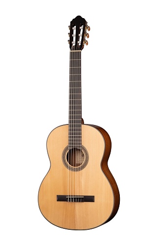 Cort AC200-NAT Classic Series  ,  , 