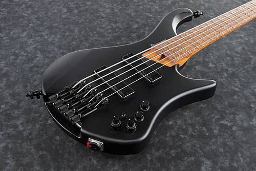 IBANEZ EHB1005-BKF 5-ти струнная бас-гитара, в комплекте чехол