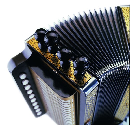 Hohner A3302 Vienna Model 114 C Диатонический аккордеон