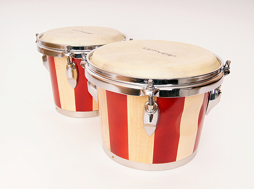 Fleet FLT-103A Бонго